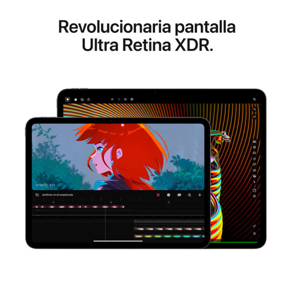 iPad Pro 13" Chip M4 256GB Plata