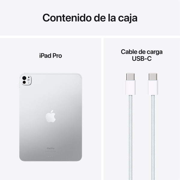 iPad Pro 13" Chip M4 256GB Plata