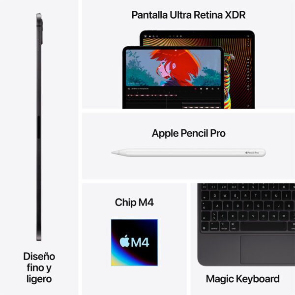 iPad Pro 13" Chip M4 256GB Plata
