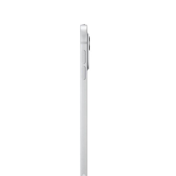 iPad Pro 13" Chip M4 256GB Plata